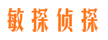 扶绥市调查公司